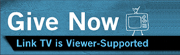 Link TV : Give Now